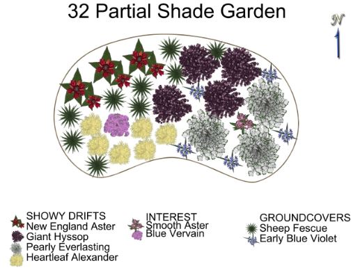 32 shade garden