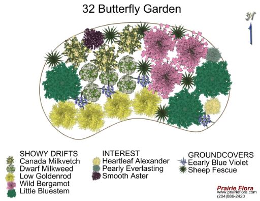 butterfly garden design layout