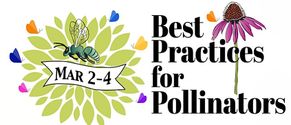 best practices for pollinators image